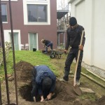 Zwei Männer graben ein Loch