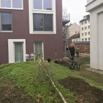 Menschen bei der Gartenarbeit